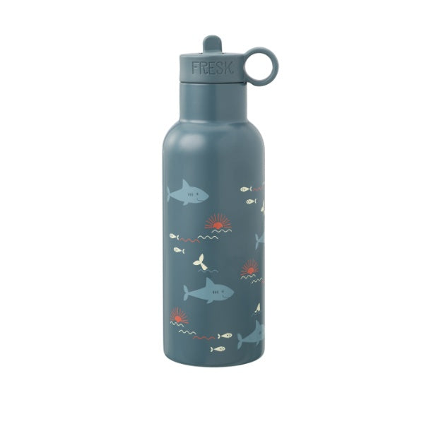 Garrafa térmica Fresk inox 500ml sustentável com duas tampas