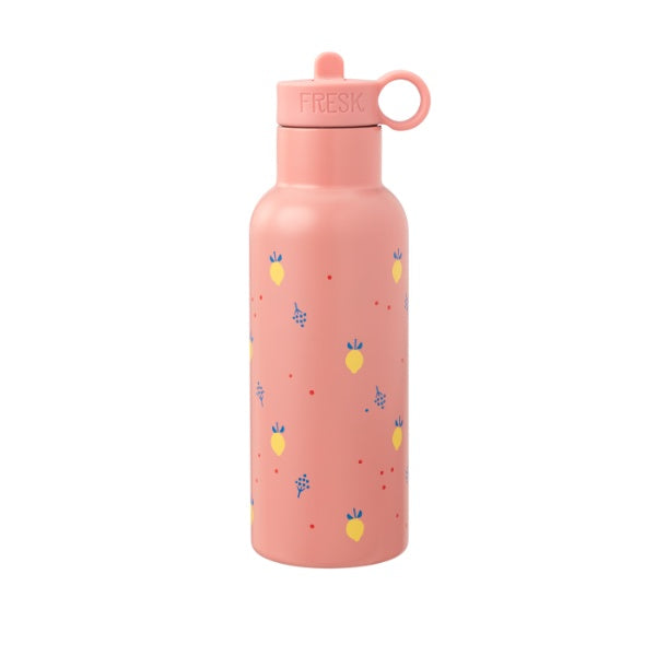 Garrafa térmica Fresk inox 500ml sustentável com duas tampas
