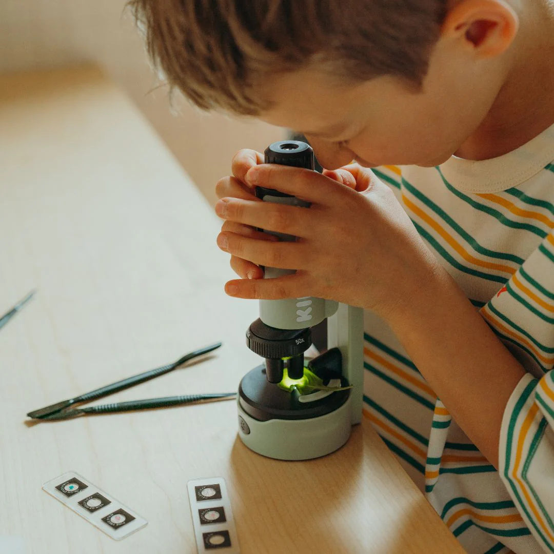 Microscópio Portátil para Jovens Exploradores da kidywolf