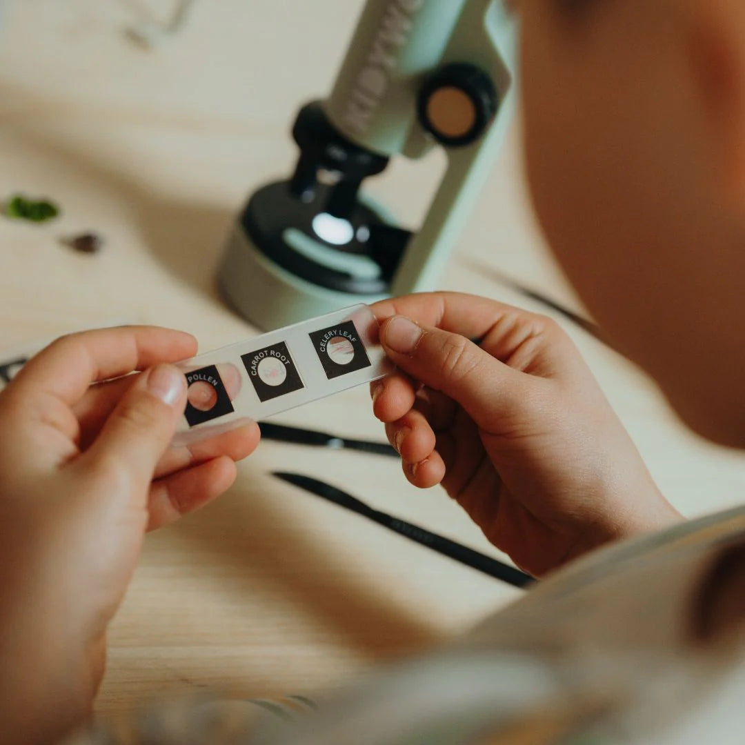 Microscópio Portátil para Jovens Exploradores da kidywolf