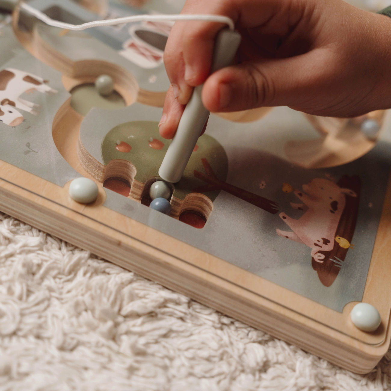 Little Farm Magnetic Maze