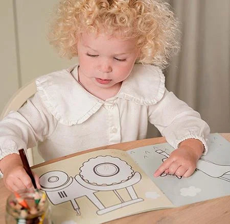 Livro de Colorir Entre Linhas | Little Farm