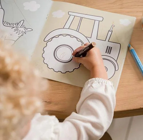 Livro de Colorir Entre Linhas | Little Farm