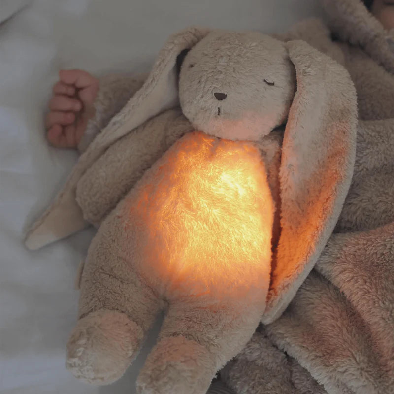 Coelho Orgânico Sand Natur Luz-Som 2.0 da Moonie