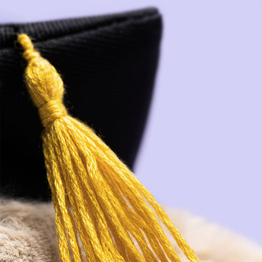 Coelhinha Bashful Graduação Jellycat – Peluche Presente