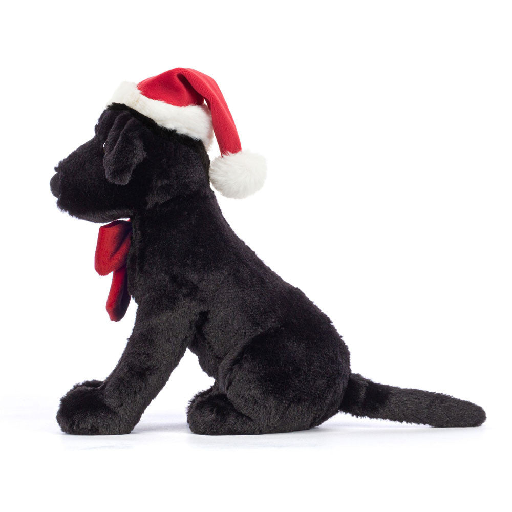 Labrador Pippa de Natal | Winter Warm