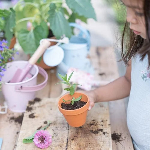 Balde de Jardim | Fairy Garden – Little Dutch