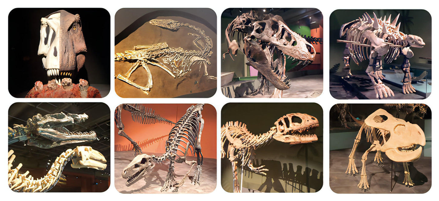 Lanterna de Histórias | Dinossauros