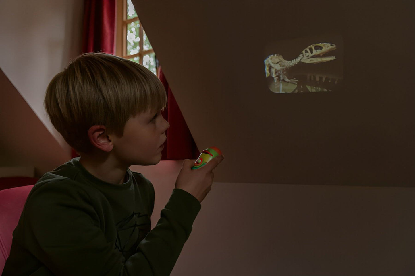 Lanterna de Histórias | Dinossauros