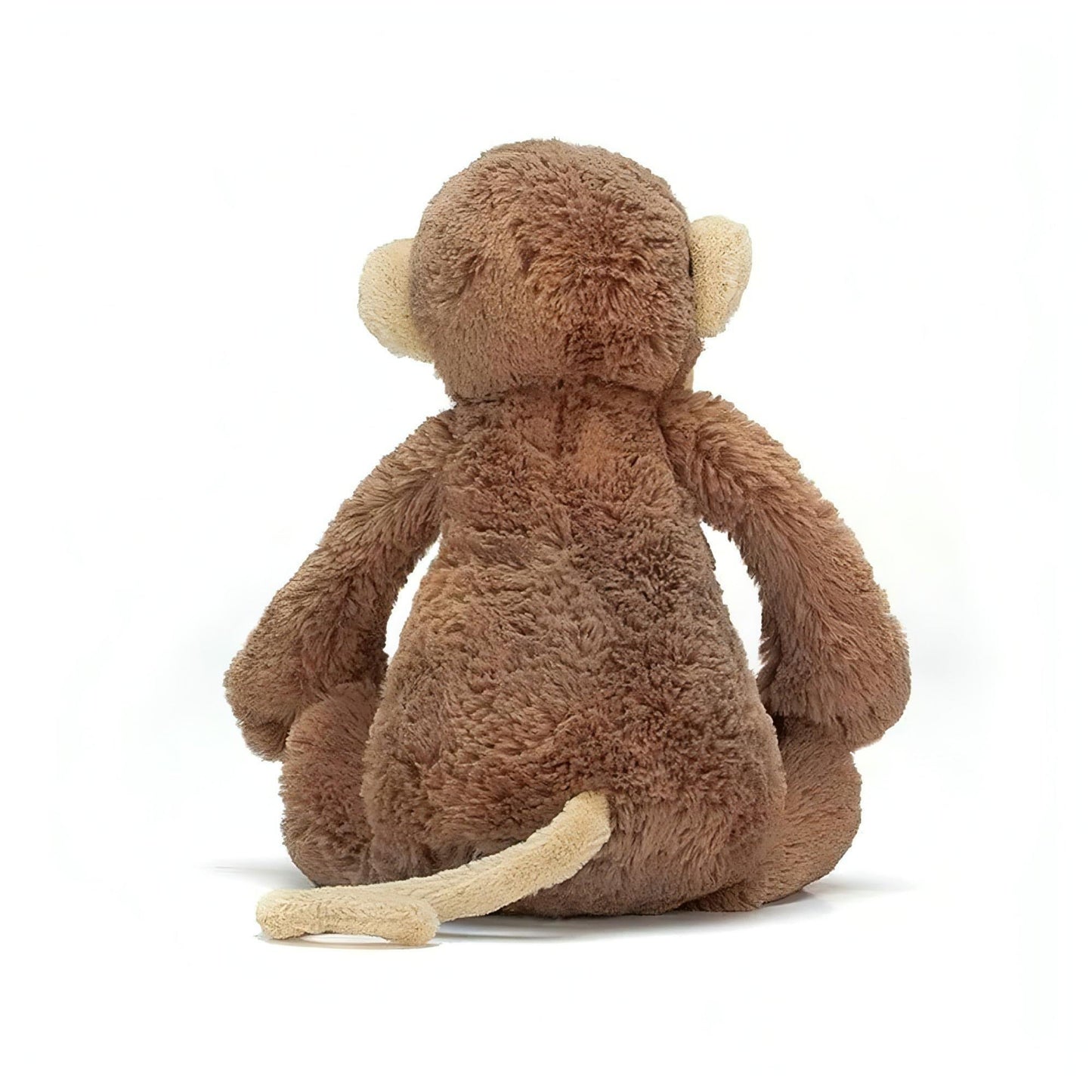 Macaco Bashful Médio