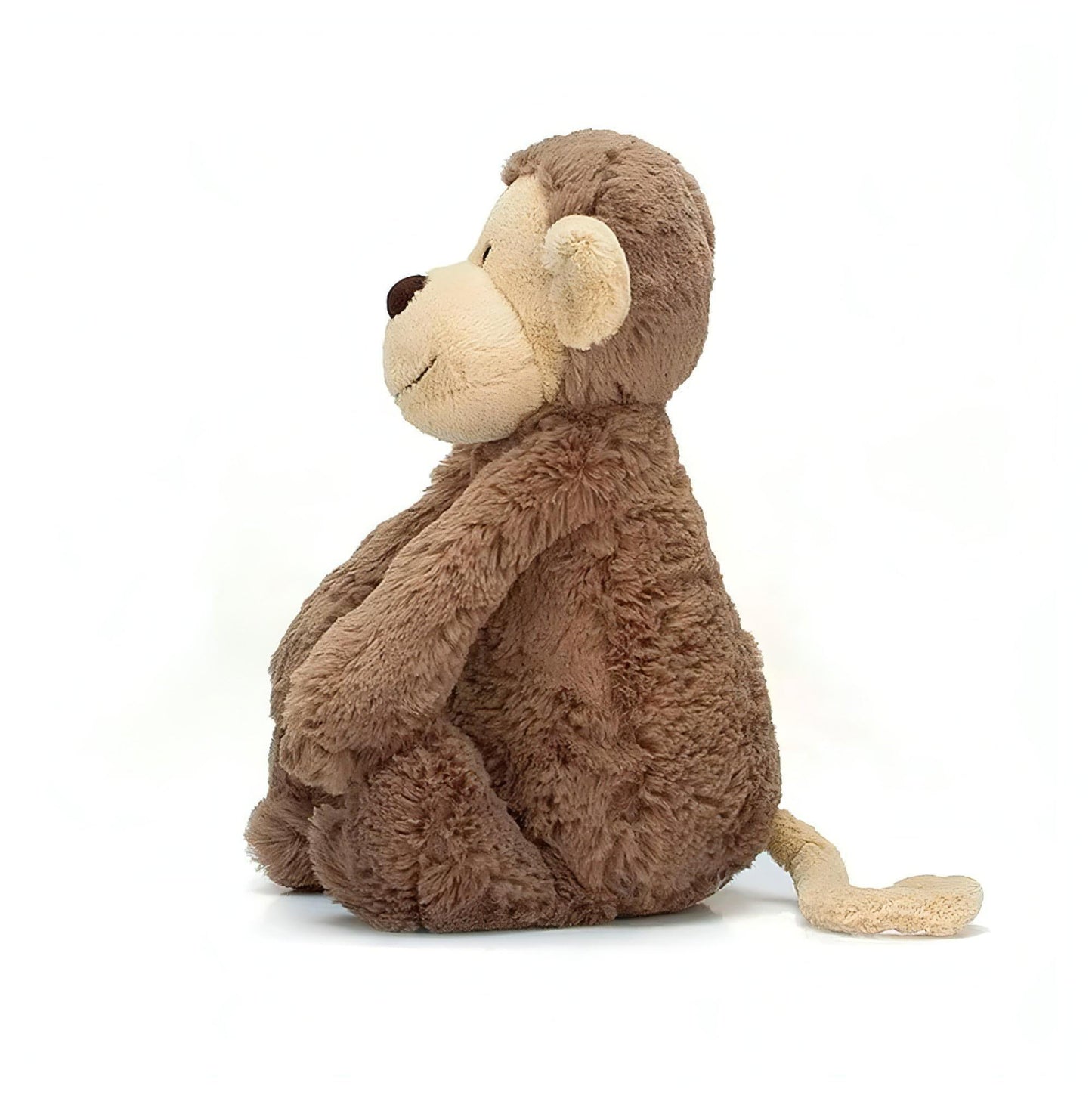 Macaco Bashful Médio