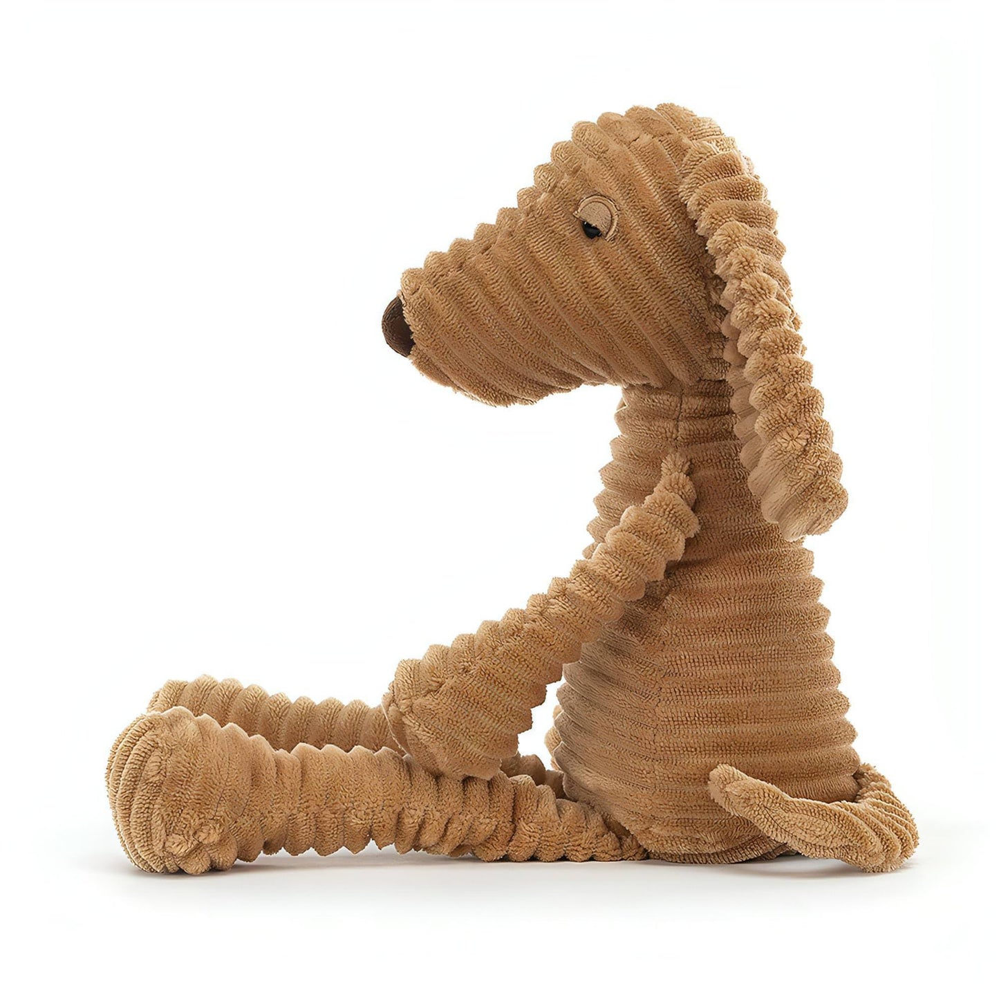 Cão Ribble