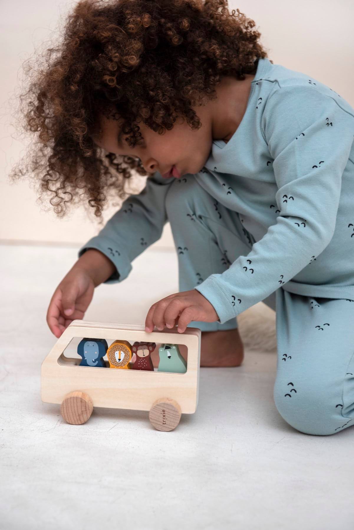 Autocarro dos Animais Madeira