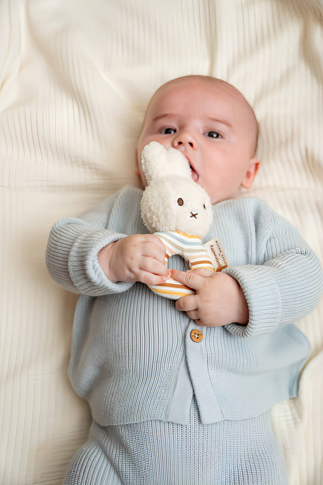 Roca Miffy Vintage Bunny Ring | Stripes