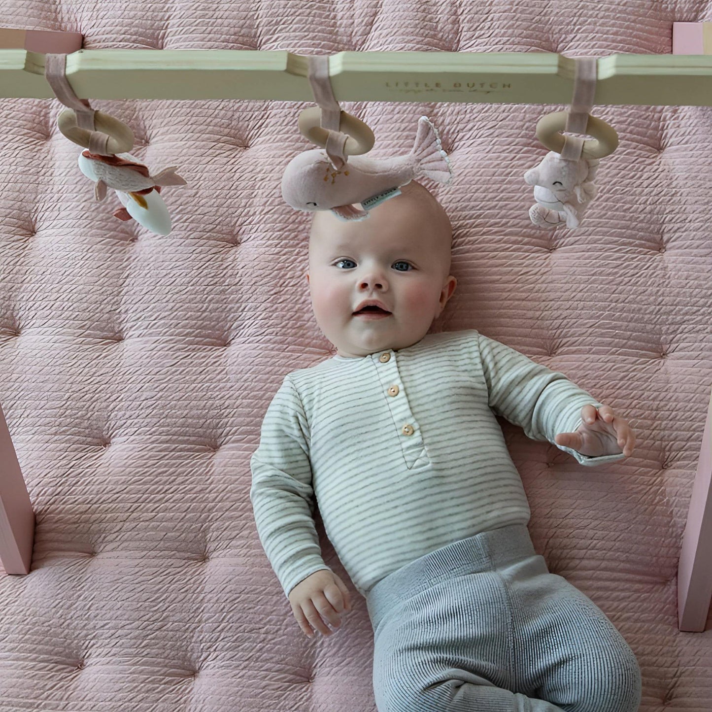 Ginásio para Bebés Ocean Rose