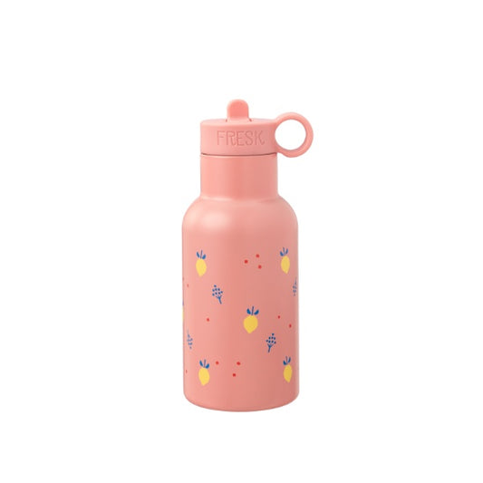 Garrafa térmica Fresk inox 500ml sustentável com duas tampas