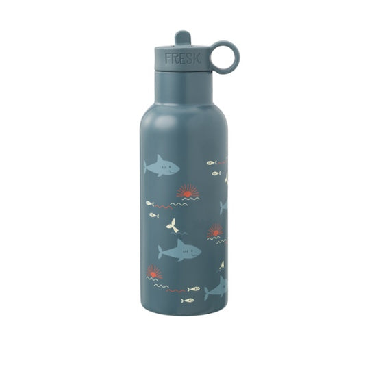Garrafa térmica Fresk inox 500ml sustentável com duas tampas