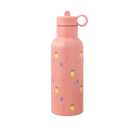 Garrafa térmica Fresk inox 500ml sustentável com duas tampas