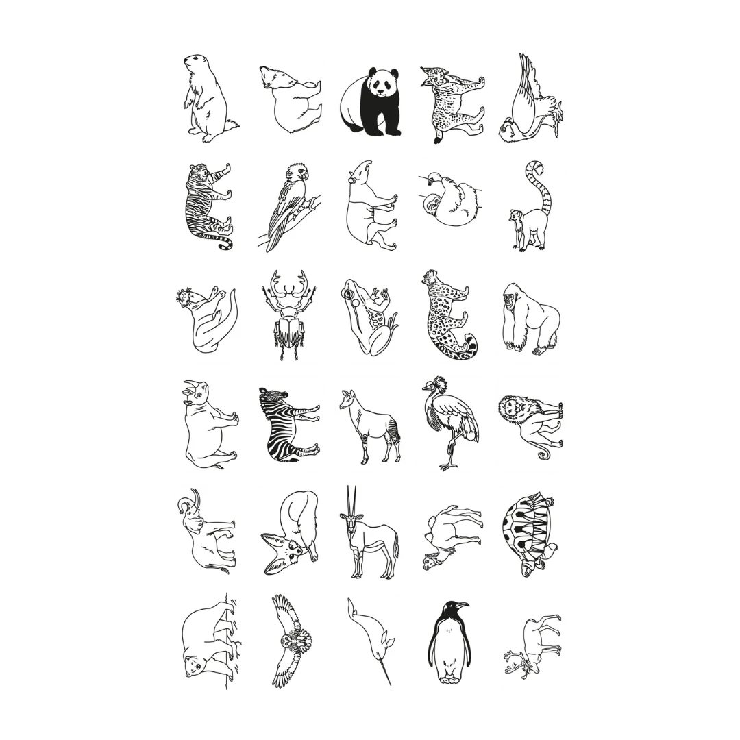 Refill KIDYDRAW-MINI | Cartões Extra Animais do Mundo & Oceanos & Piratas