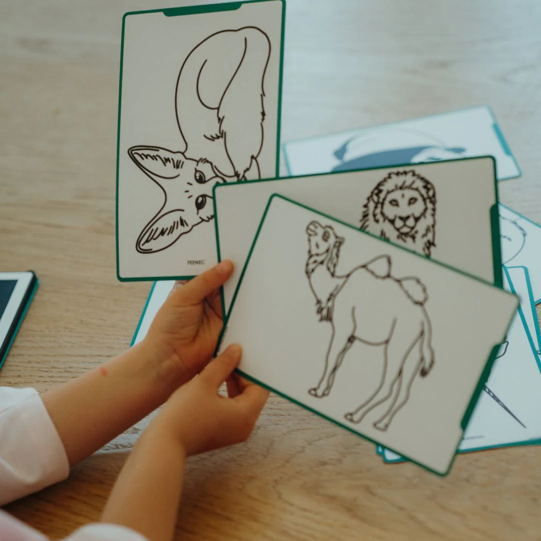 Refill KIDYDRAW-MINI | Cartões Extra Animais do Mundo & Oceanos & Piratas