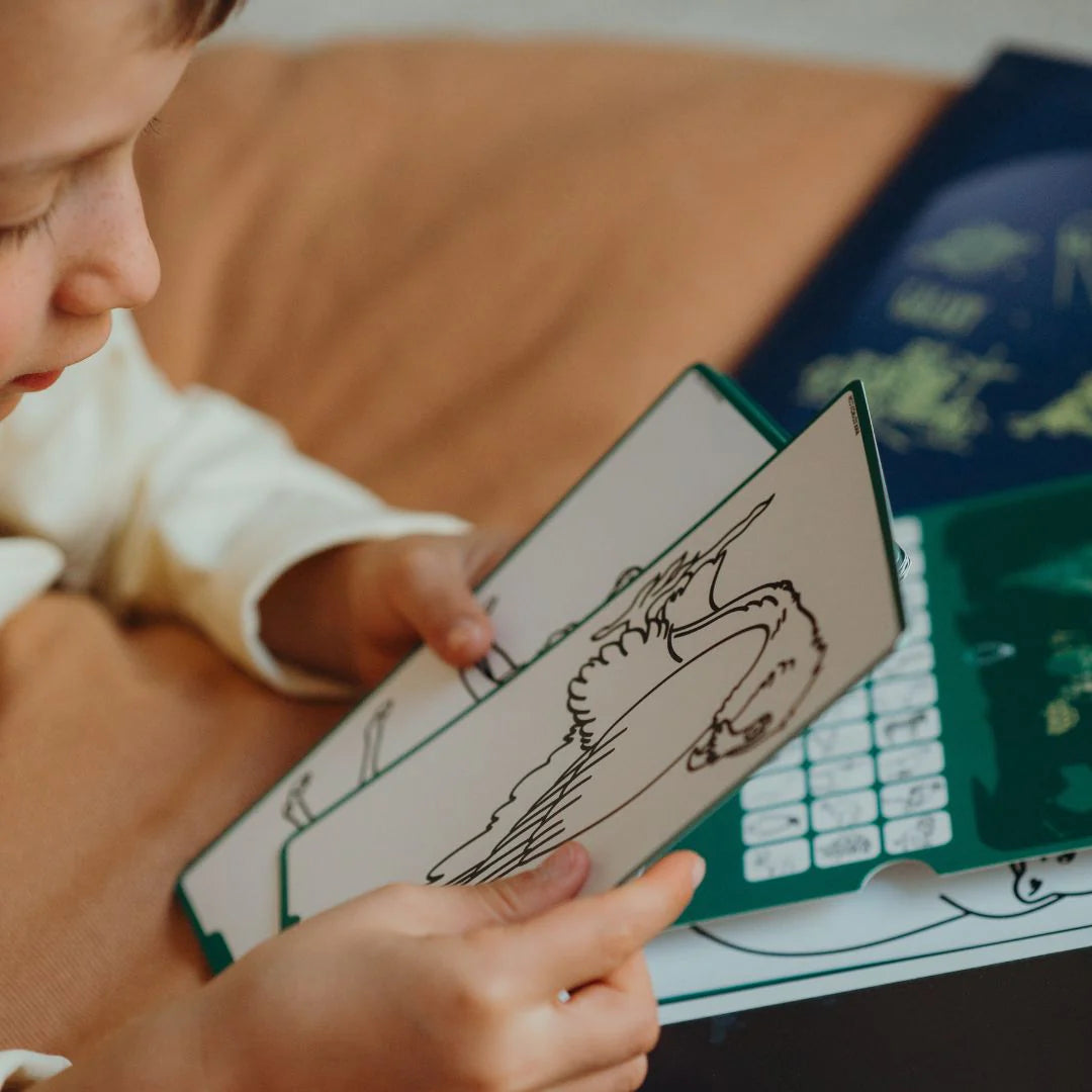 Refill KIDYDRAW-MINI | Cartões Extra Animais do Mundo & Oceanos & Piratas