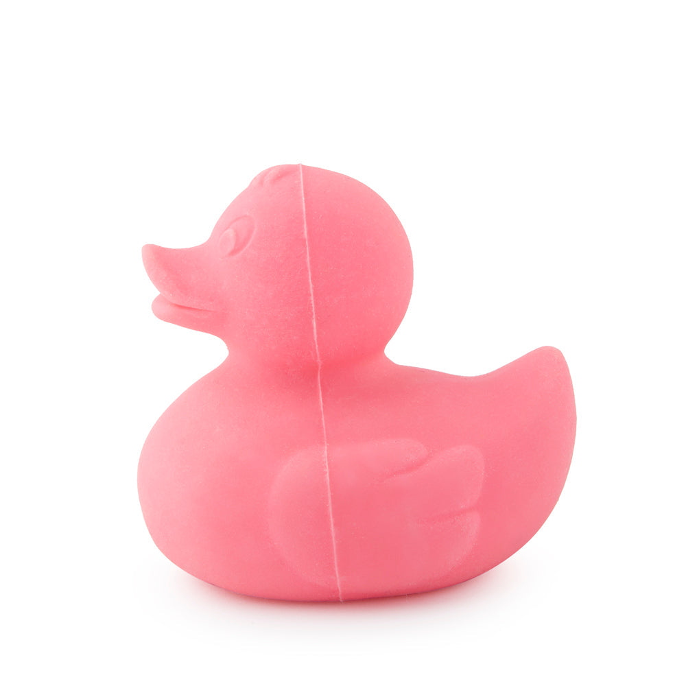 Elvis the Pink Duck Oli & Carol