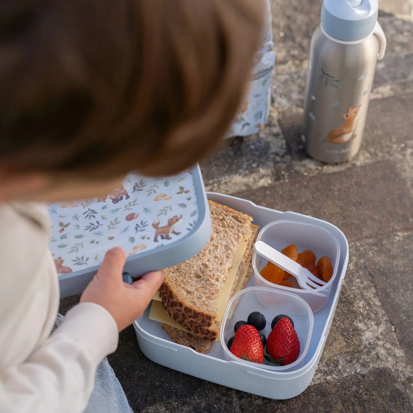 Bento Lunchbox Grande Forest Friends – Lancheira Organizada e Divertida