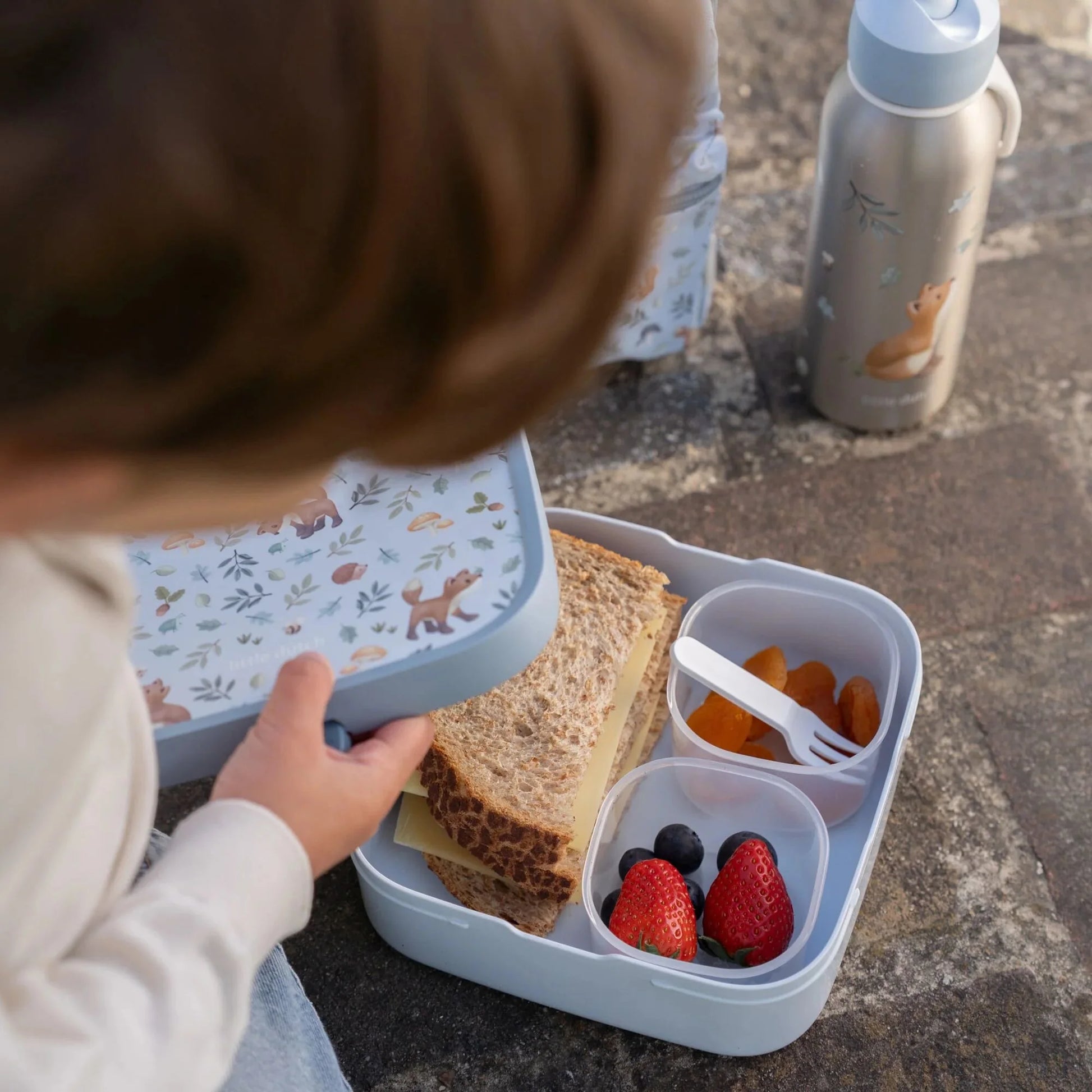 Bento Lunchbox Grande Forest Friends – Lancheira Organizada e Divertida