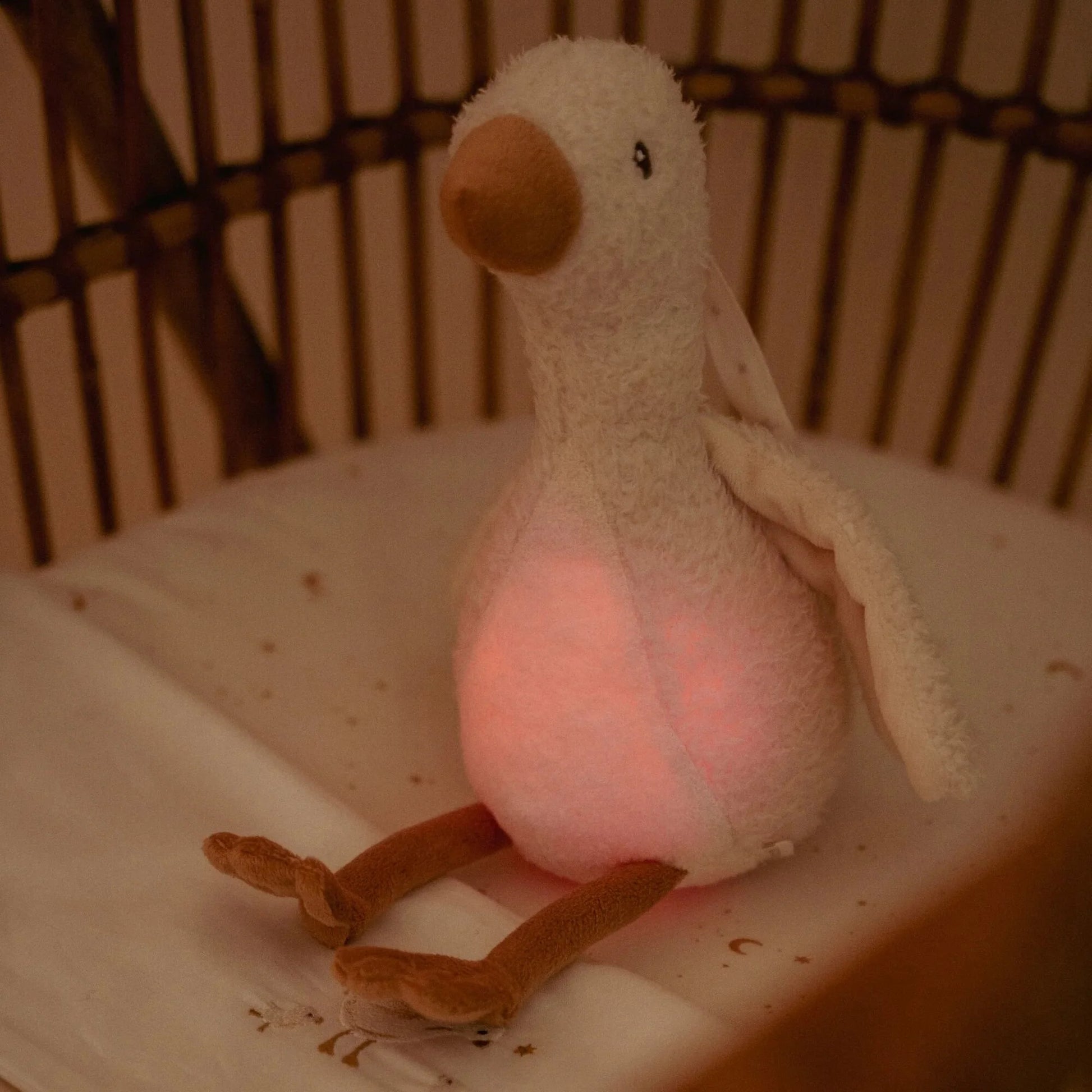Ganso de Peluche com Luz e Som da Little Dutch na Lolla Kids