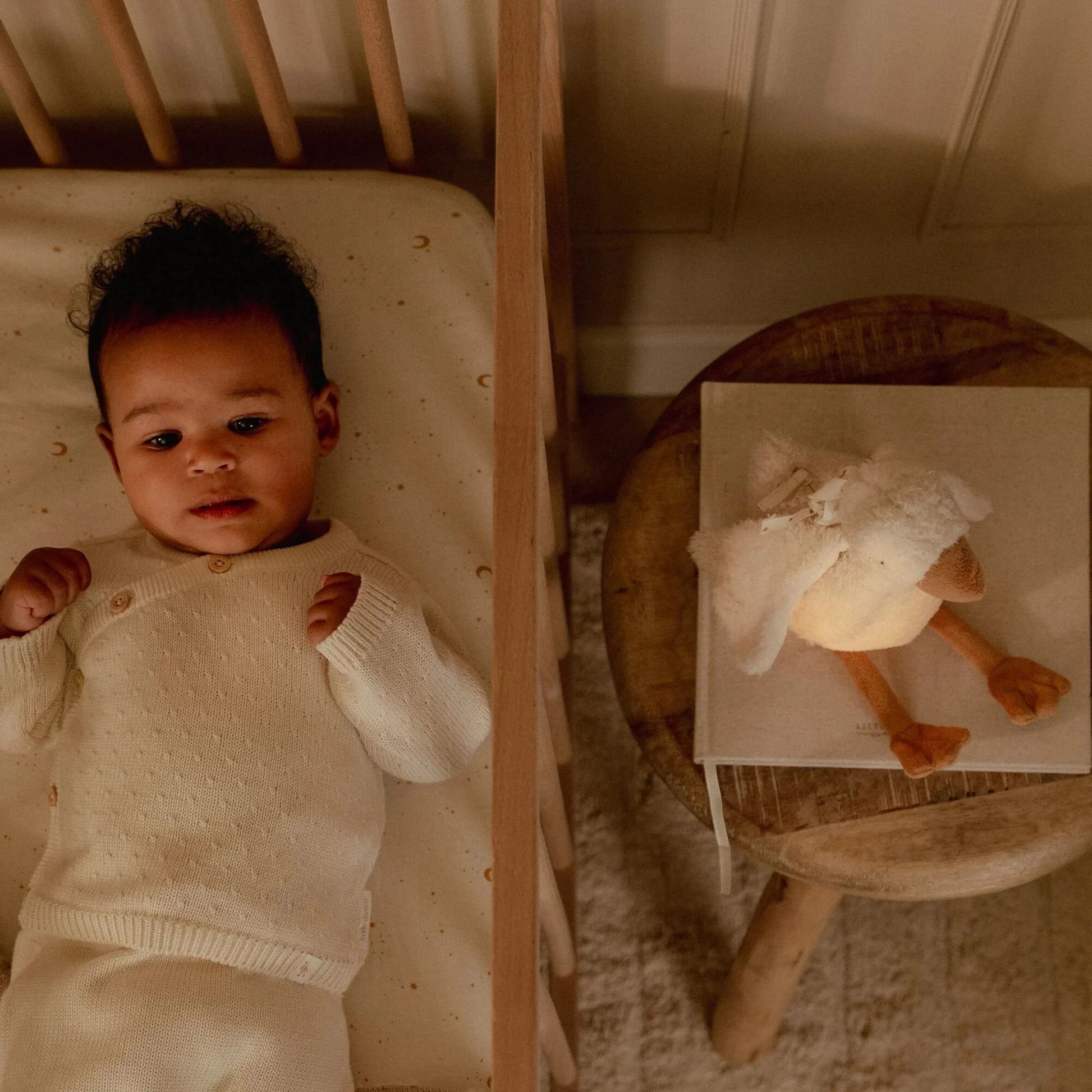 Ganso de Peluche com Luz e Som da Little Dutch na Lolla Kids