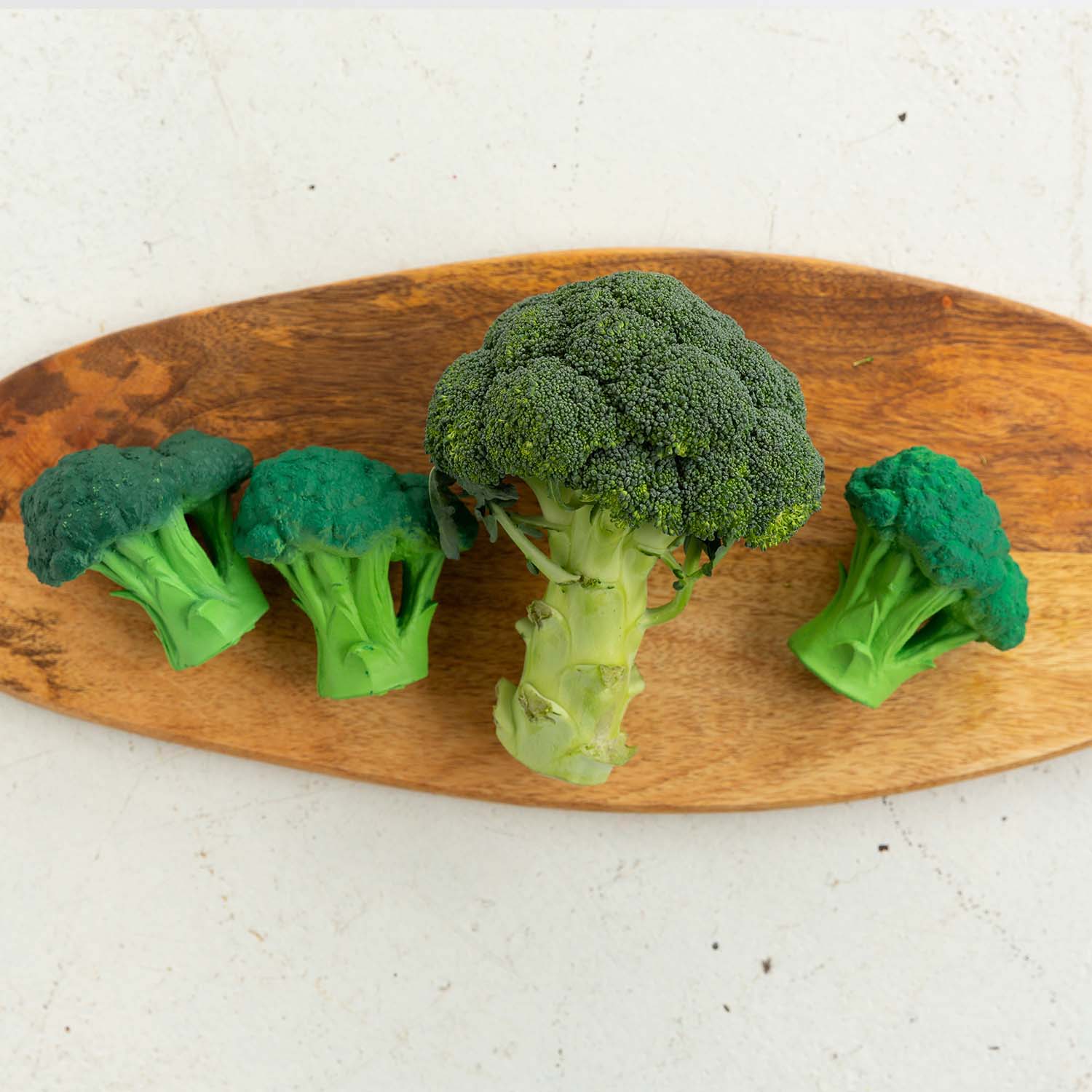 Brucy the Broccoli – Mordedor 100% Borracha Natural (0+) | Brinquedo de Banho Sem Furos