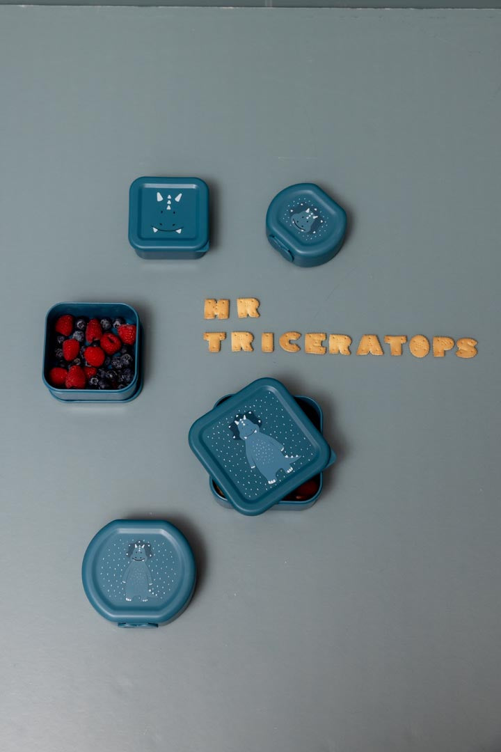 Conjunto 2 Caixas com Fecho Mr. Triceratops da Trixie Baby
