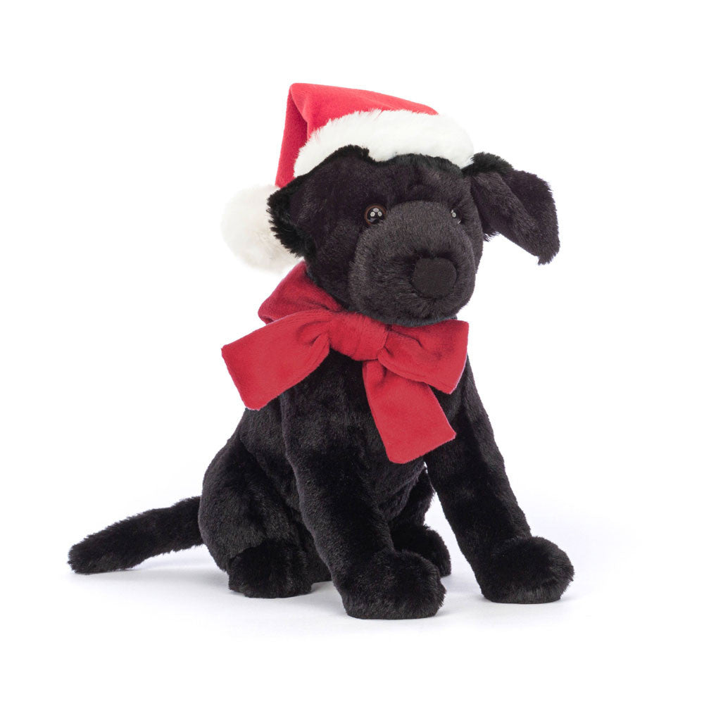 Labrador Pippa de Natal | Winter Warm