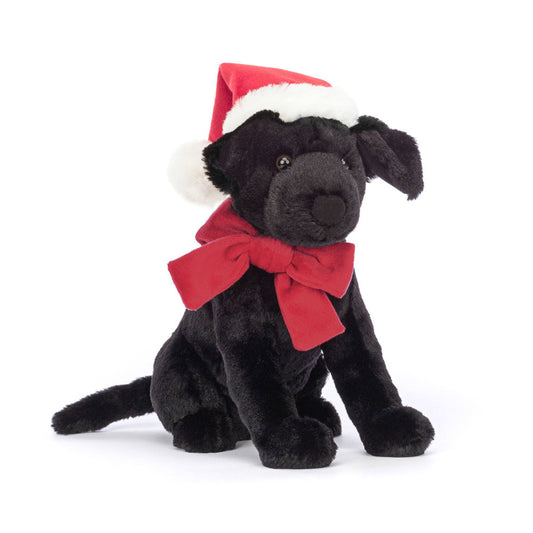 Labrador Pippa de Natal | Winter Warm
