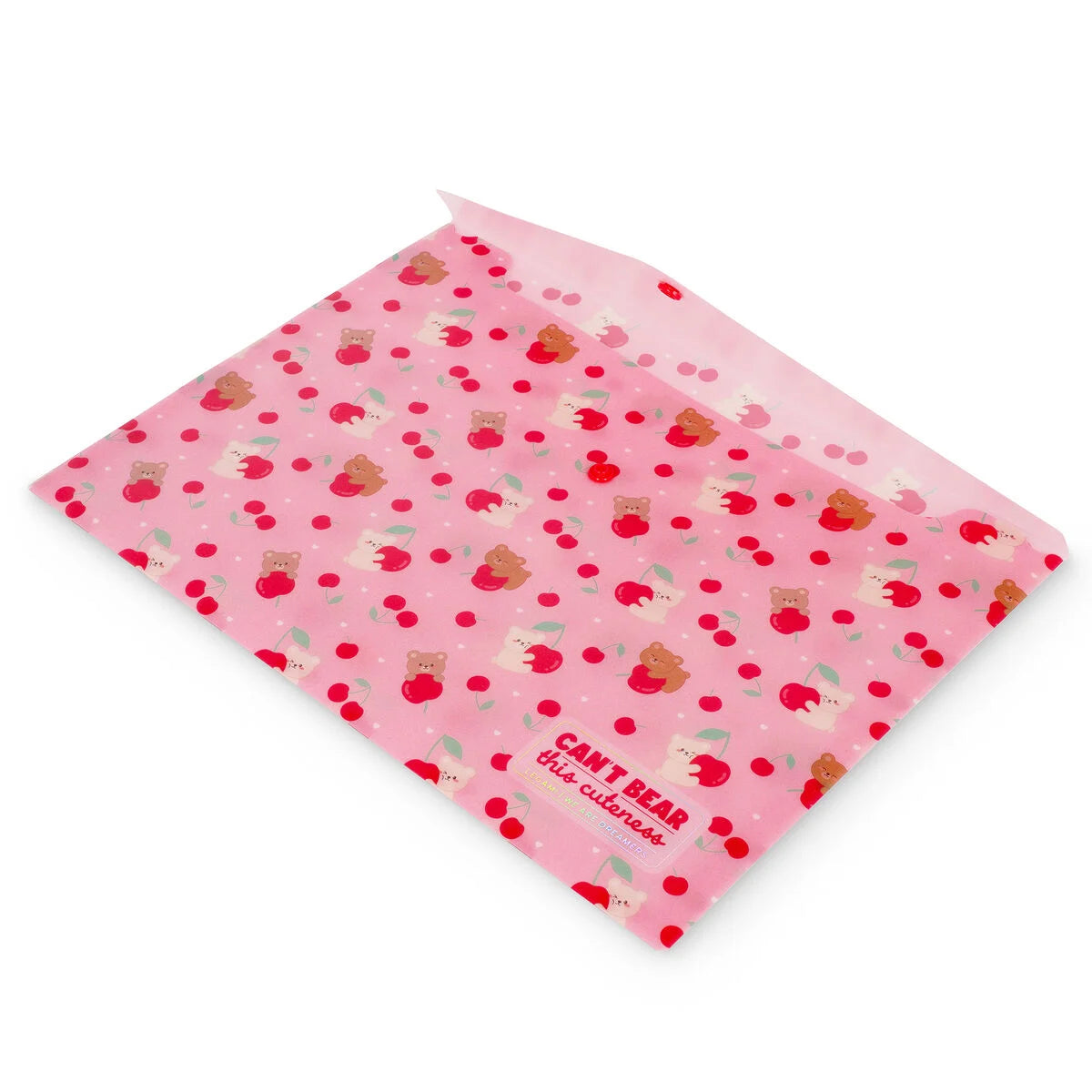 Pasta de Documentos Fold & Order – Teddy Bear