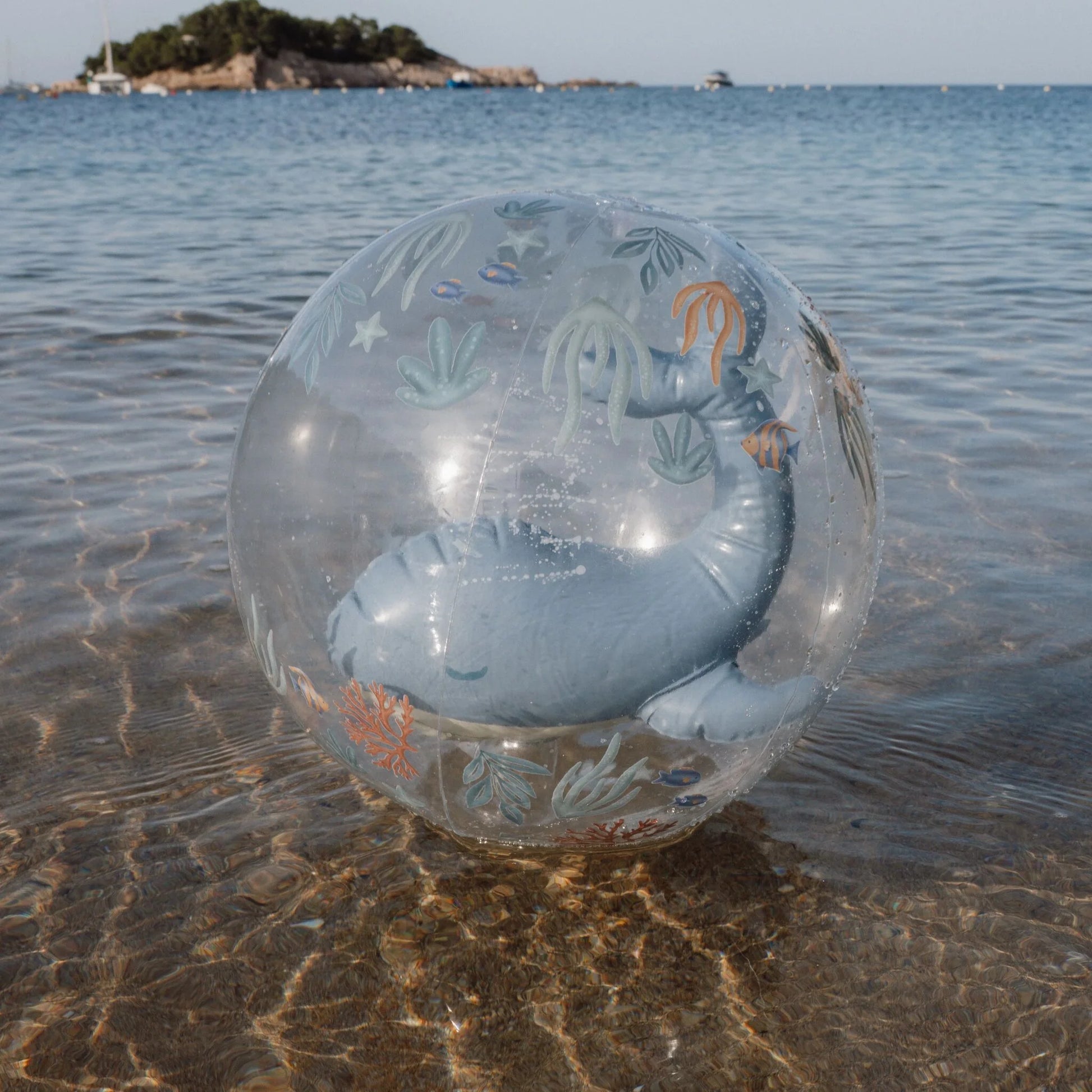 Bola praia criança 3D baleia Ocean World 35 cm
