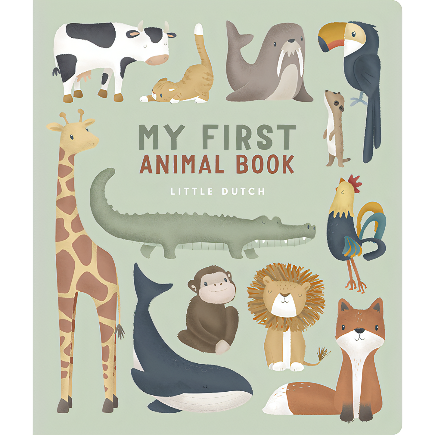 Livro em Inglês | My First Animal Book - O Meu Primeiro Livro de Animais